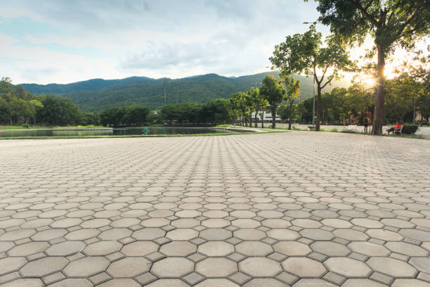 Best Driveway Pavers Near Me  in Lexington, MS